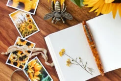 Esterbrook Estie Honeycomb GT Vulpen -Schrijfgerei Esterbrook Estie Regular Honeycomb GT FP 4