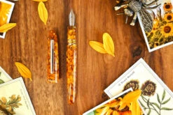 Esterbrook Estie Honeycomb GT Vulpen -Schrijfgerei Esterbrook Estie Regular Honeycomb GT FP 5