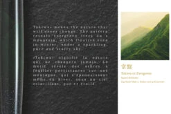 Namiki AYA Tokiwa Evergreen Vulpen -Schrijfgerei Namiki Aya Evergreen 3