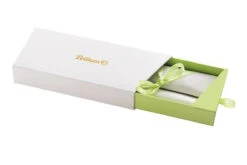 Pelikan Classic M200 Pastel Green Vulpen -Schrijfgerei Pelikan classic M200 pastel green pen box